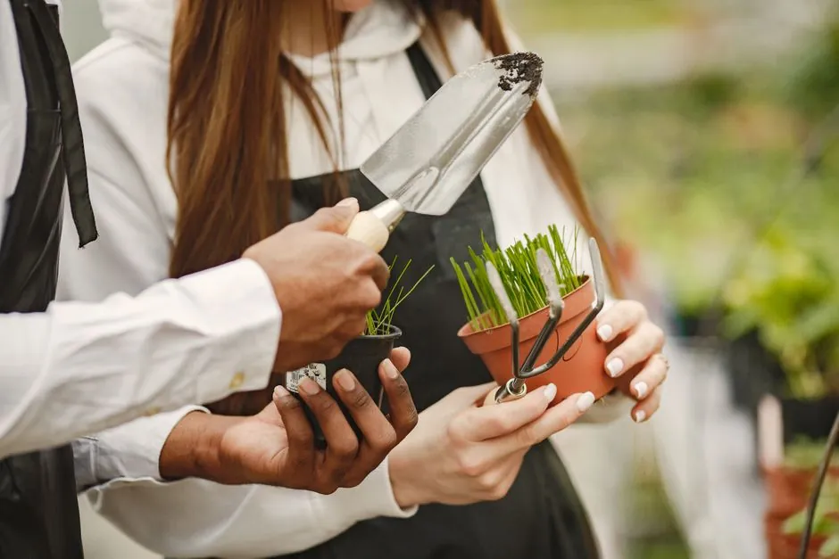 Mains d'artisan jardinier avec une petite truelle et des semis